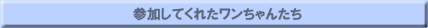 äƤ줿󤿤